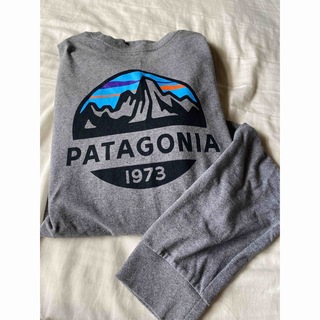 パタゴニア(patagonia)のPatagoniaメンズロングスリーブフィッツロイ　丸ロゴ(Tシャツ/カットソー(七分/長袖))