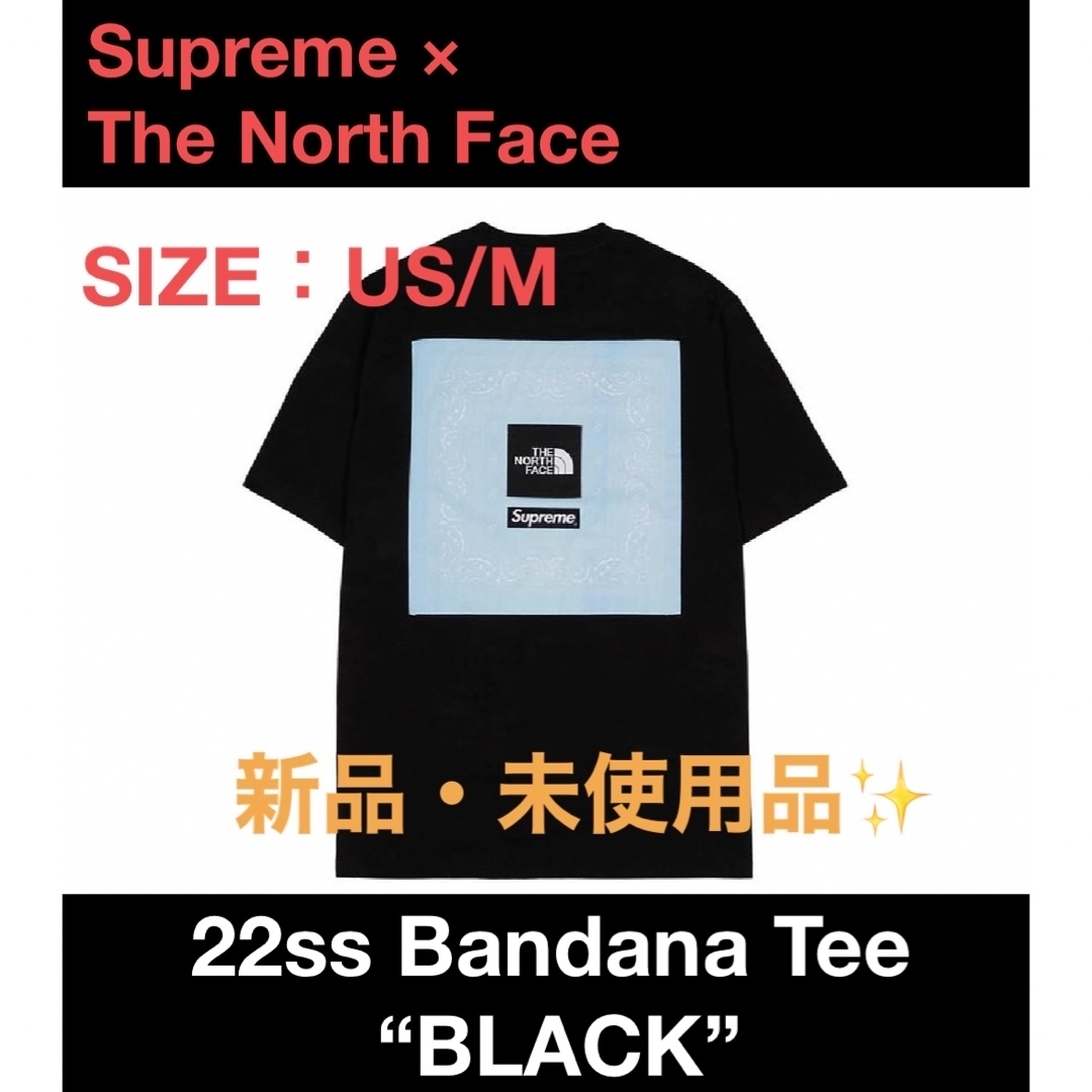 Supreme The North Face Bandana Tee M