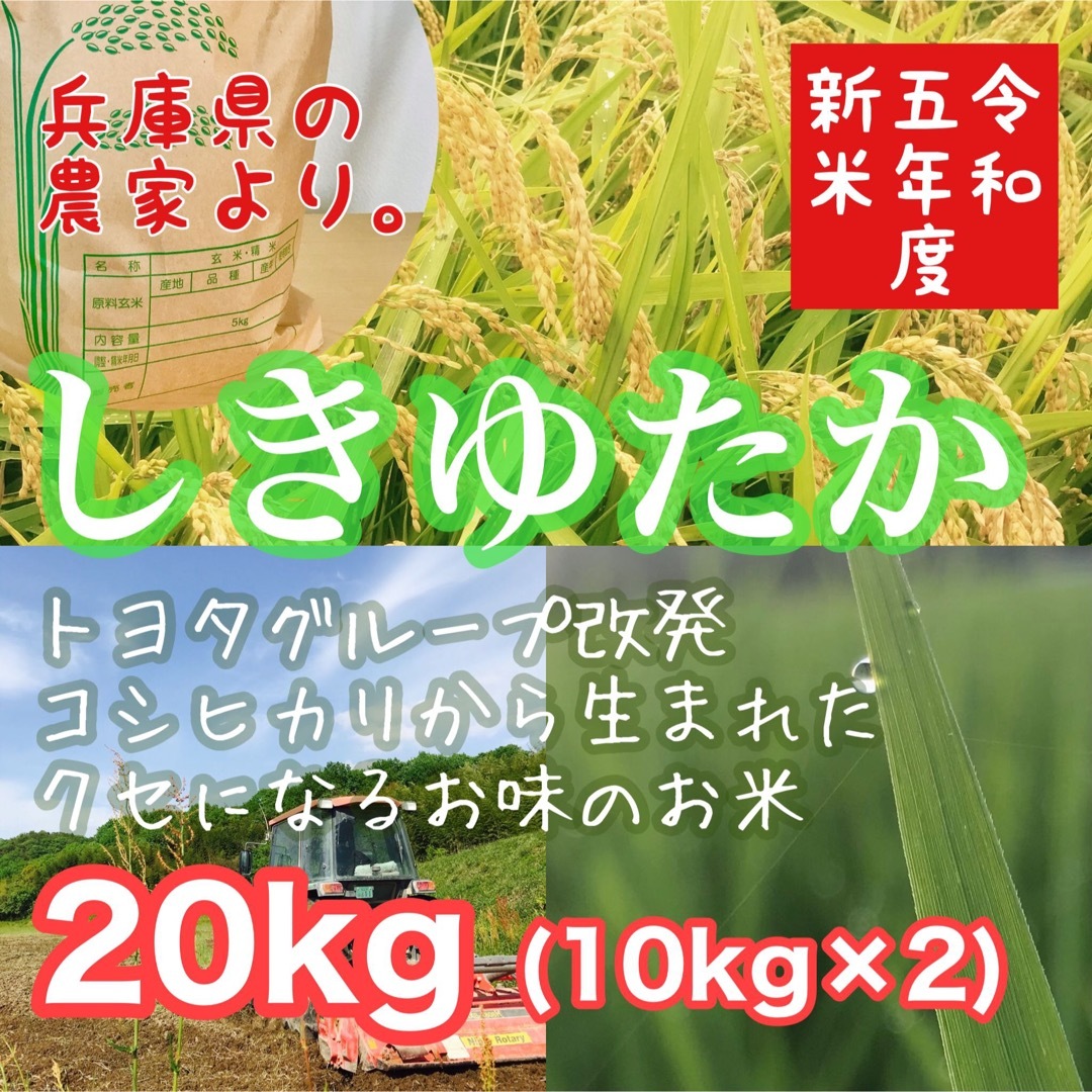 湧き水育ち農家のお米　シキユタカ】兵庫県産　レア品種　かさいファーム329｜ラクマ　20kg(10kg×2)の通販　by