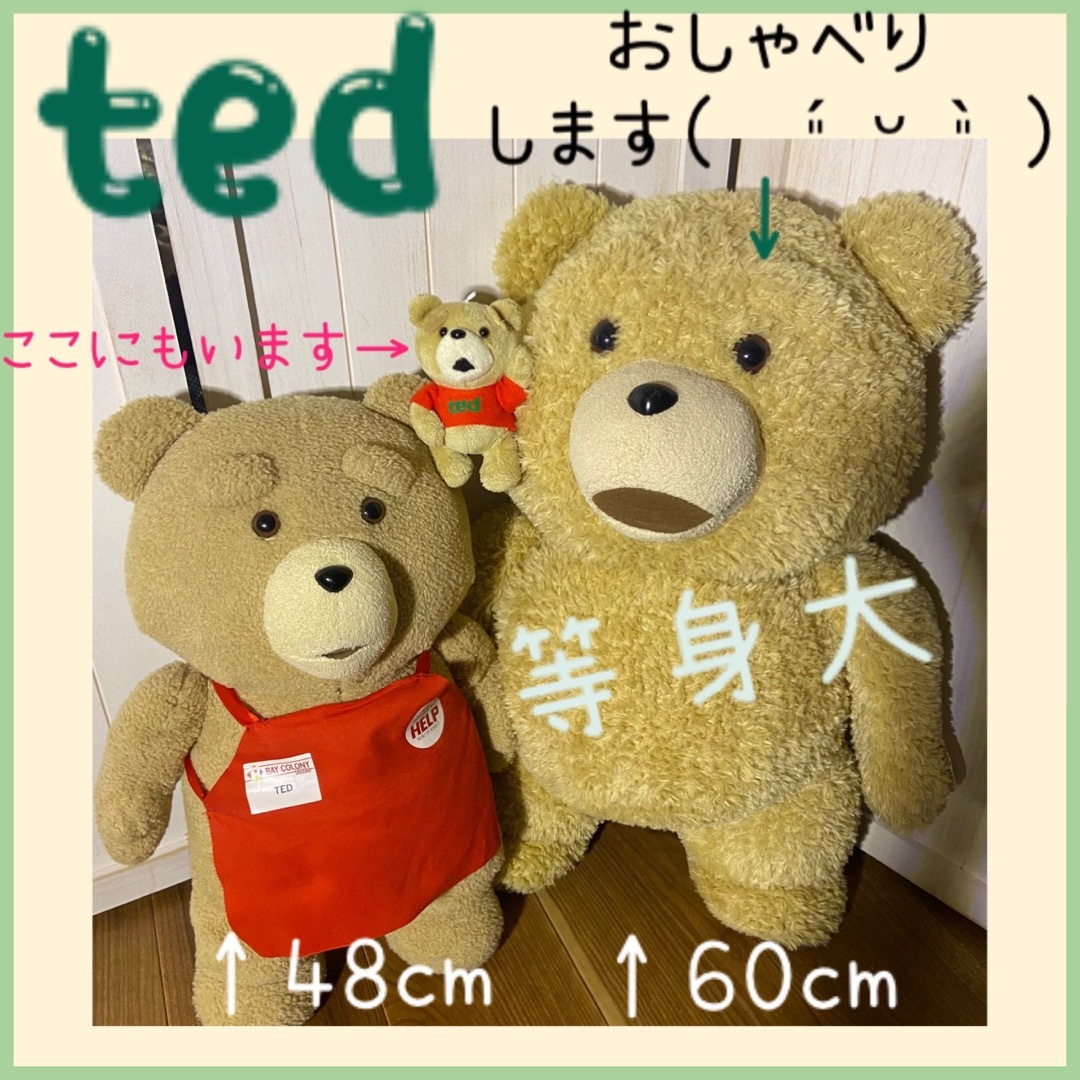 TED テッド おしゃべり ぬいぐるみ &エプロンぬいぐるみ＋ミニテッド 3点 エンタメ/ホビーのおもちゃ/ぬいぐるみ(ぬいぐるみ)の商品写真