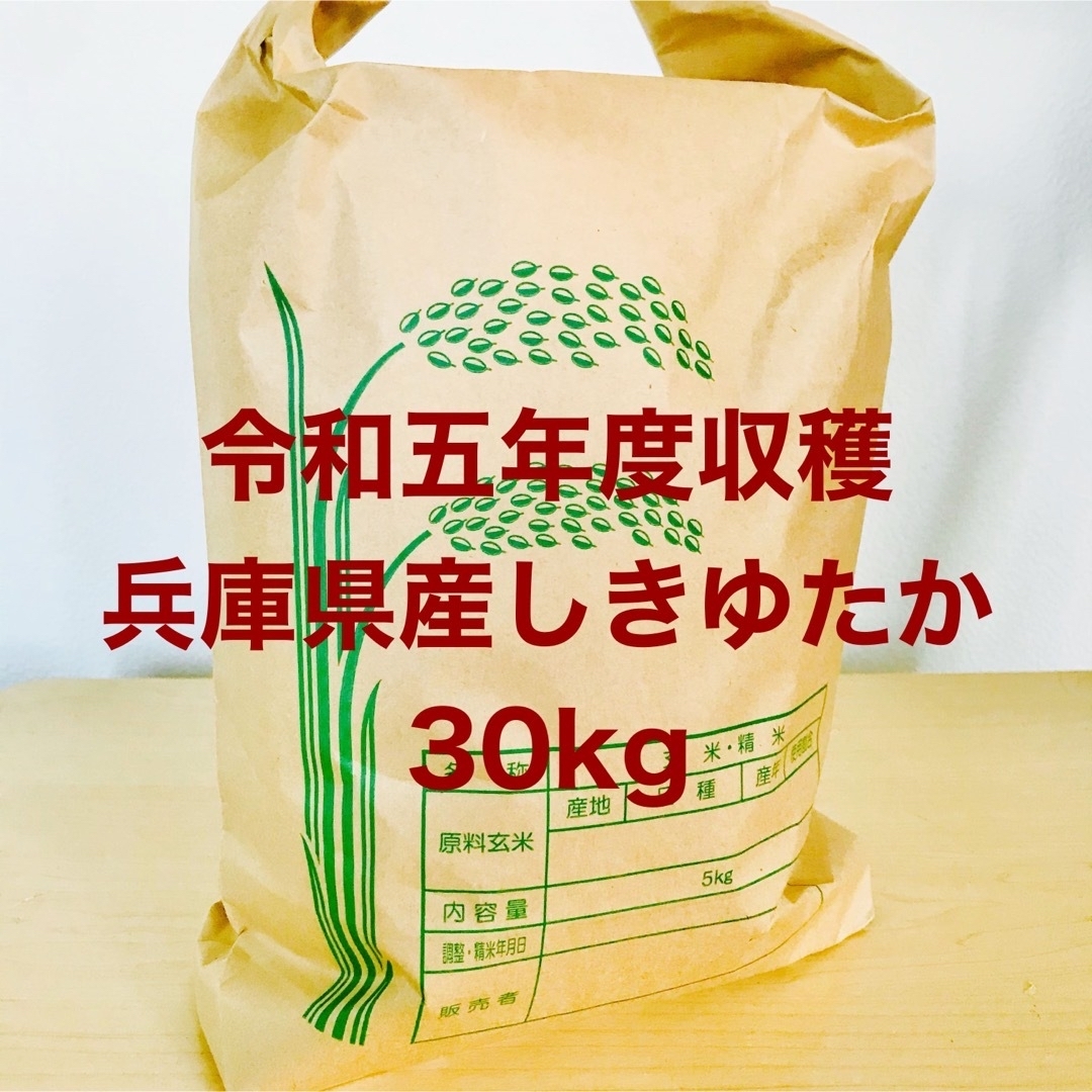 30kg【レア品種 シキユタカ】兵庫県産新米＊湧き水育ち農家のお米 30kg