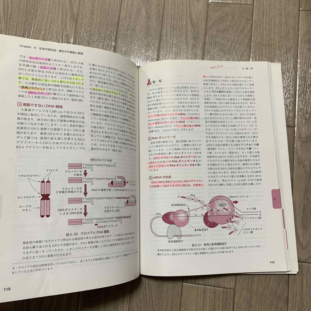 ＺＥＲＯからの生命科学 改訂４版 エンタメ/ホビーの本(科学/技術)の商品写真