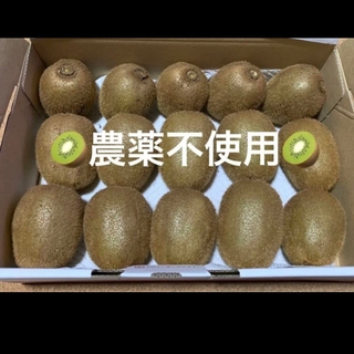 2【農薬不使用・要追熟】グリーンキウイ　キウイフルーツ(フルーツ)