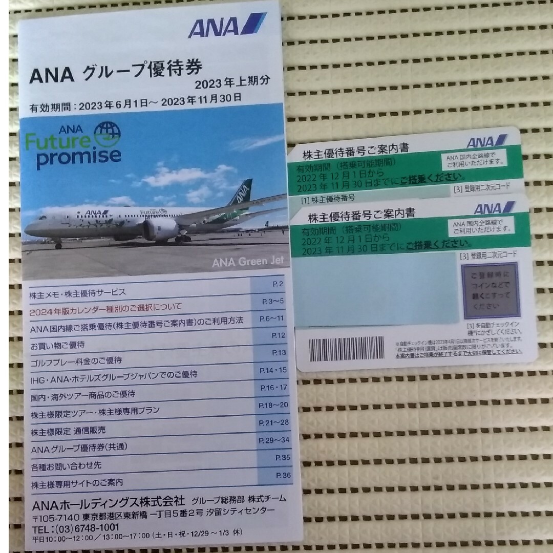 ANA(全日本空輸)(エーエヌエー(ゼンニッポンクウユ))のANA株主優待券２枚　　グループ優待冊子 チケットの乗車券/交通券(航空券)の商品写真