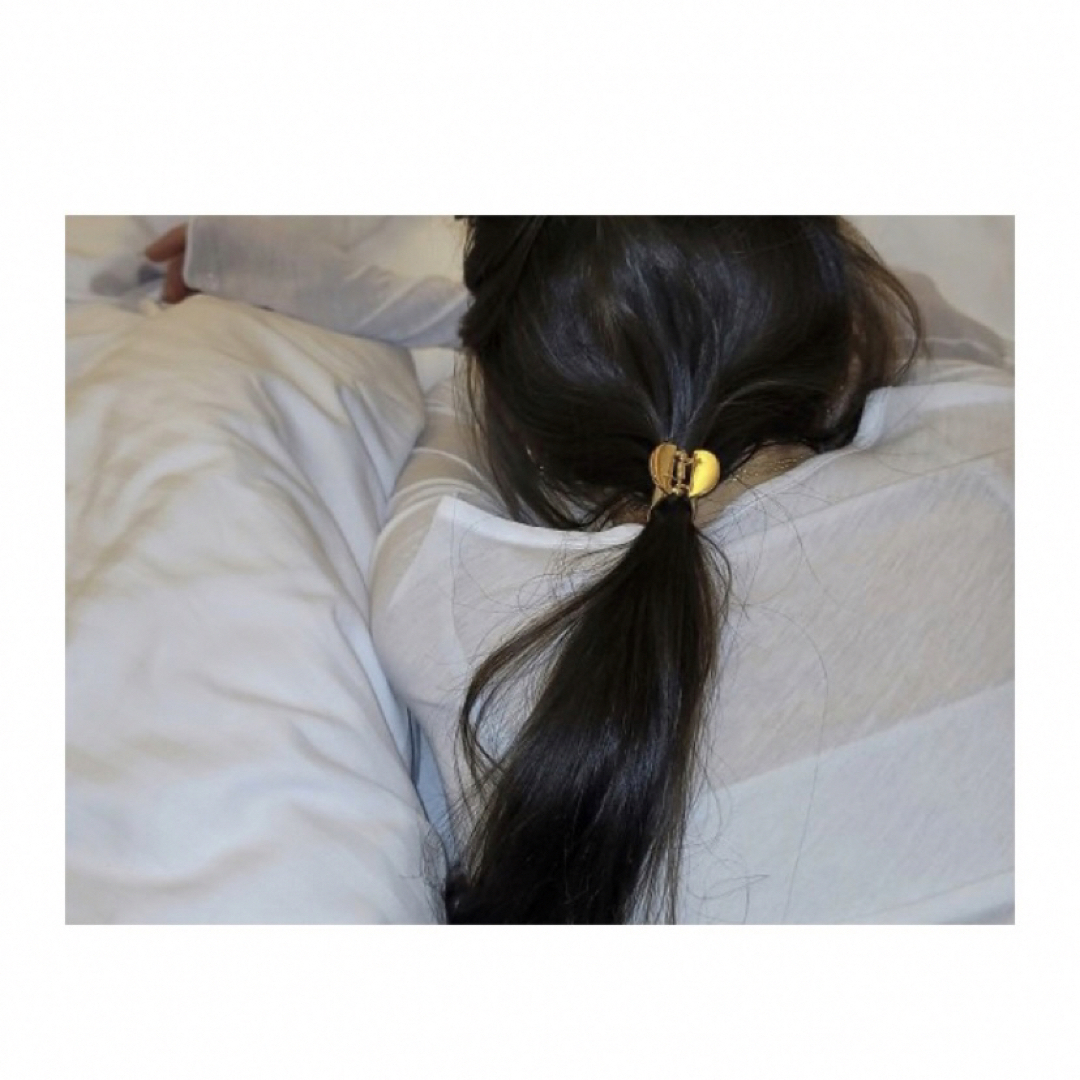 TODAYFUL(トゥデイフル)のluijewelry claw clip ルイジュエリーヘア クリップ レディースのヘアアクセサリー(バレッタ/ヘアクリップ)の商品写真