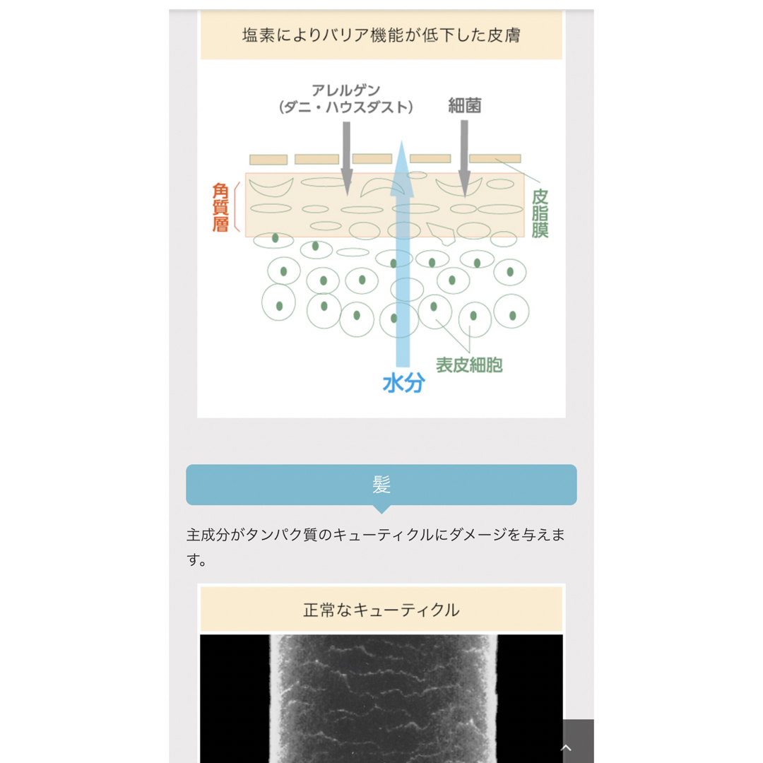 SAN-EI(サンエイ)のSANEI 塩素除去　節水シャワーノズル　アトピー協会認定 コスメ/美容のボディケア(バスグッズ)の商品写真