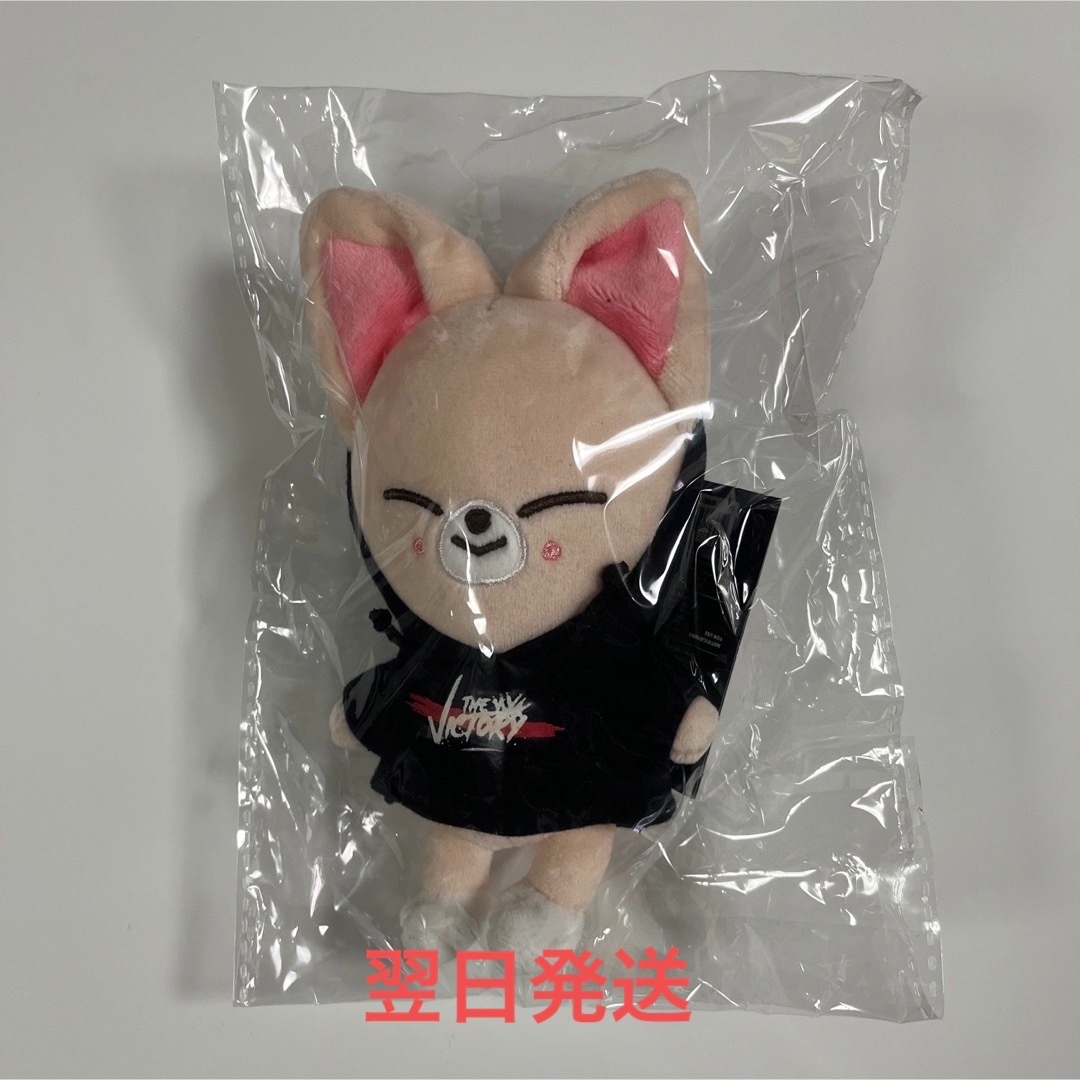 Stray Kids アイエン　フォクシニー　 mini PLUSH ぬいぐるみ