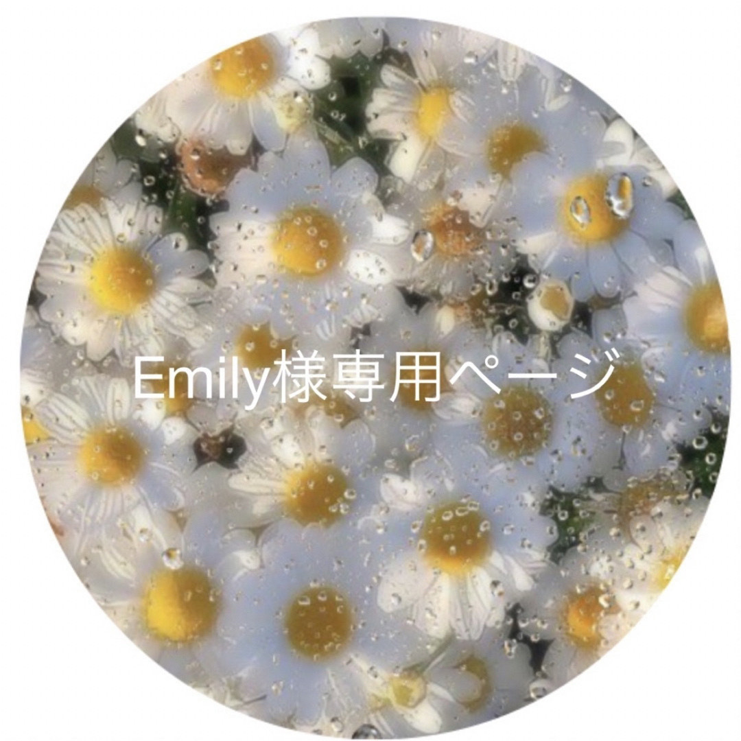 EMILYさま専用