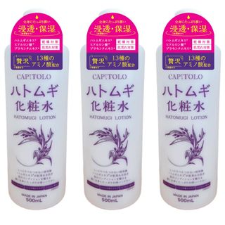 【3本セット】ハトムギ化粧水500ml（880577）【送料無料】(化粧水/ローション)