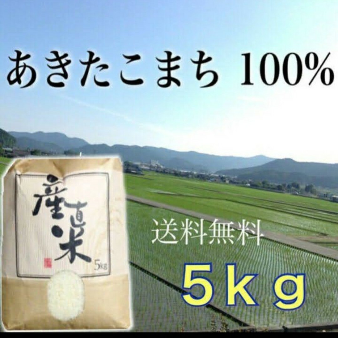 【大人気☆予約スタート】愛媛県産あきたこまち100％  新米３０ｋｇ  農家直送