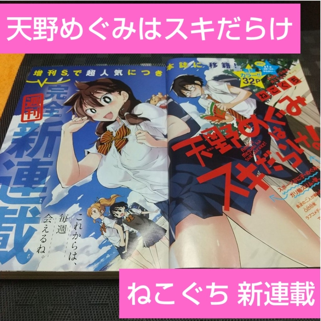 週刊少年サンデー 2016年3号※天野めぐみはスキだらけ！ 新連載 ねこぐち