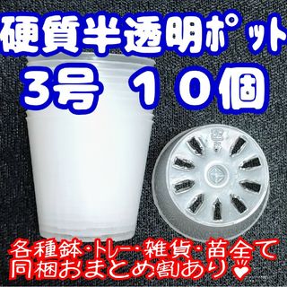 硬質半透明ポリポット 3号 9cm 10個 プラ鉢 多肉植物 プレステラ(プランター)