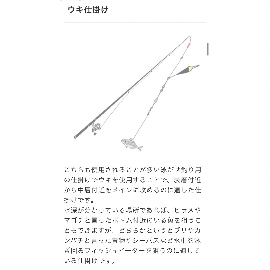 今年の新作から定番まで！ 大物狙い 泳がせ釣り.ノマセ釣り仕掛け2本針×5セットの通販 by ロッド