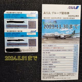 エーエヌエー(ゼンニッポンクウユ)(ANA(全日本空輸))の【最安】全日空 ana 株主優待 2枚  anaグループ優待券1冊 匿名(その他)