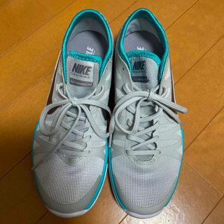 ナイキ(NIKE)のNIKE FLEX(スニーカー)