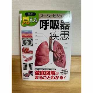 【値下げ】全部見える呼吸器疾患 ス－パ－ビジュアル(健康/医学)