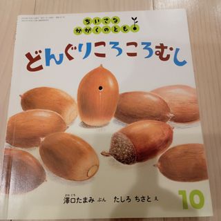 ちいさなかがくのとも 2019年 10月号(絵本/児童書)