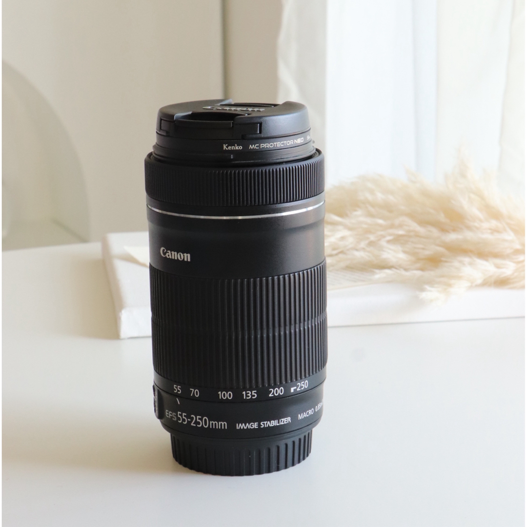 EFS 55-250mm レンズ