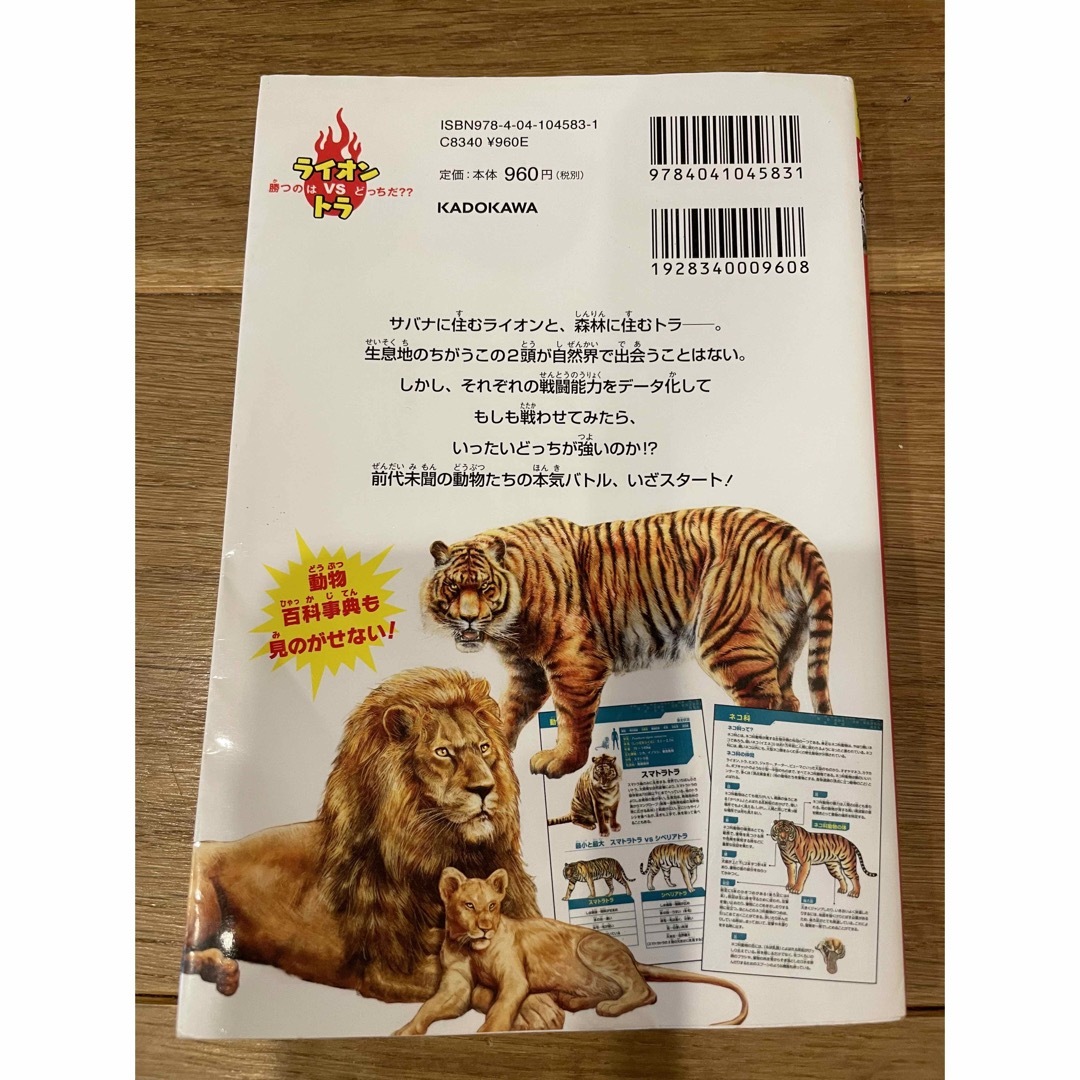 どっちが強い!?ライオンvsトラ 陸の最強王者バトル- どっちが強い!?ライオンvsトラ 陸の最強王者バトル-