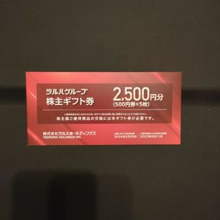 ツルハグループ　株主優待　2,500円(ショッピング)