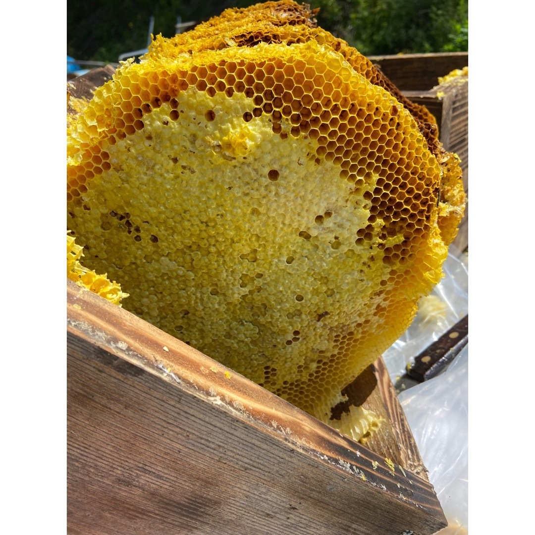 ◇希少◇日本蜜蜂　天然はちみつ　百花蜜