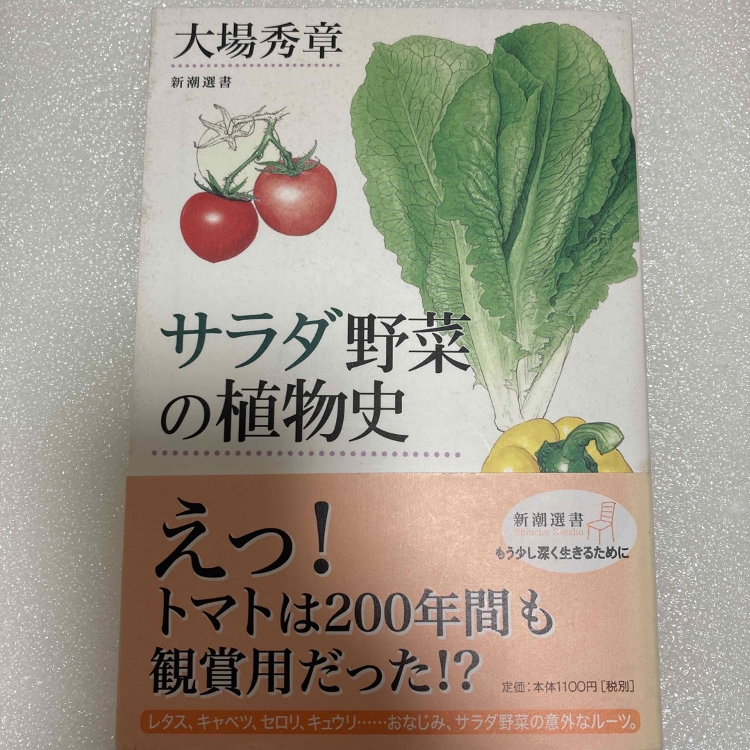 新潮社(シンチョウシャ)のサラダ野菜の植物史 エンタメ/ホビーの本(料理/グルメ)の商品写真