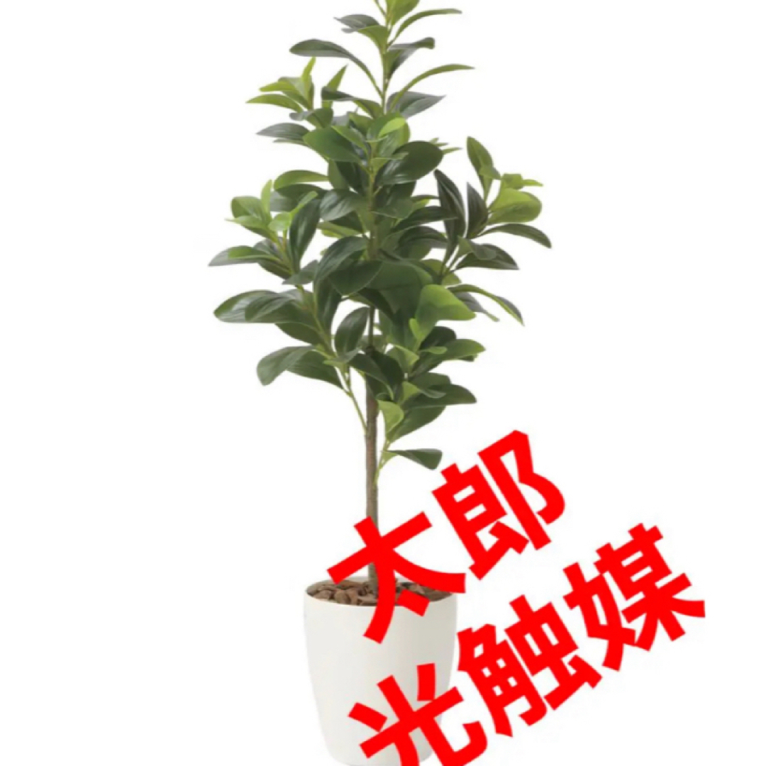 光触媒　人工観葉植物　ウォールグリーン　フェイクグリーン　ジャイアントポトス