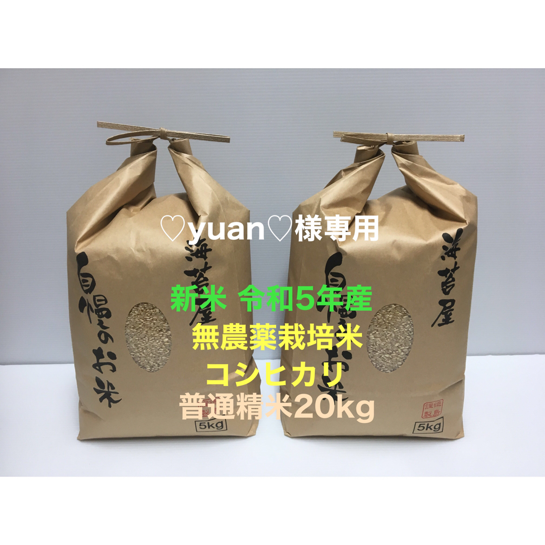 新米　♡yuan♡様専用　無農薬コシヒカリ普通精米20kg(5kg×4)令和4年-