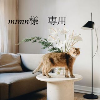 mtmn様　専用(リング(指輪))