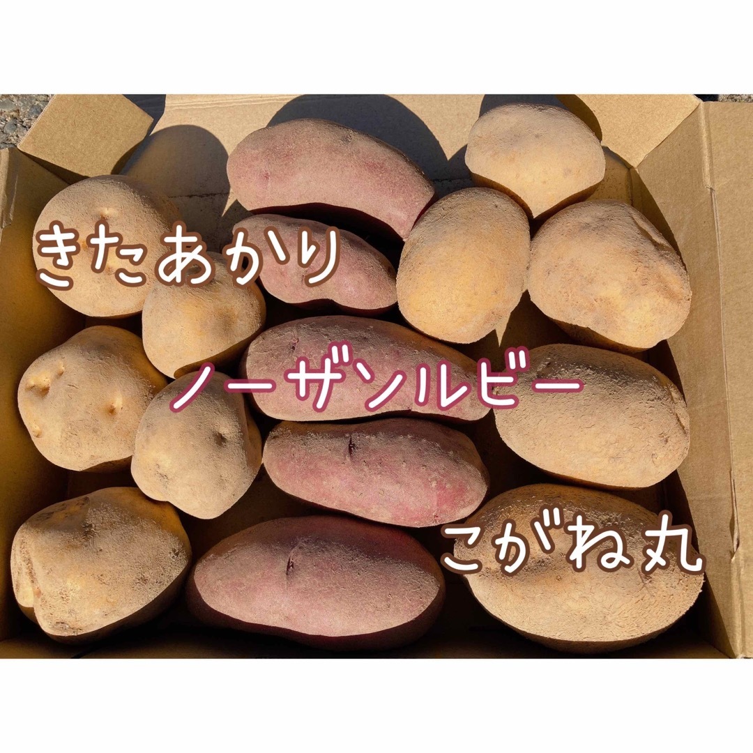 北海道産 じゃがいも食べ比べセット 食品/飲料/酒の食品(野菜)の商品写真