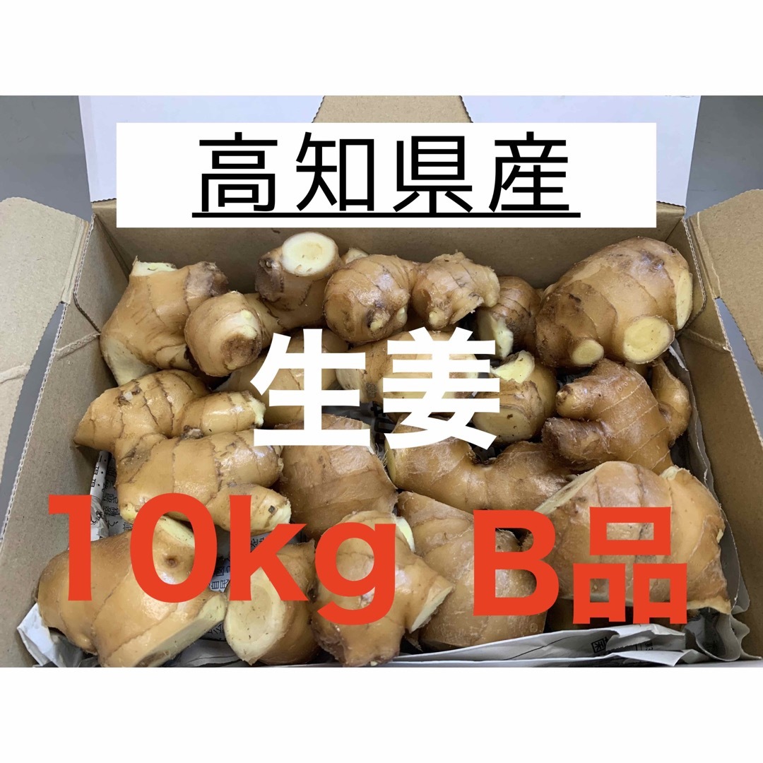 高知県産　生姜　しょうが　B品　10kg