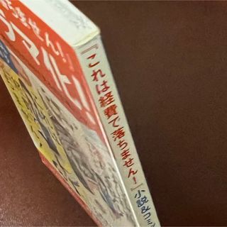 シュウエイシャ(集英社)の集英社　 『これは経費で落ちません！』 小説&コミック　試し読み小冊子(その他)