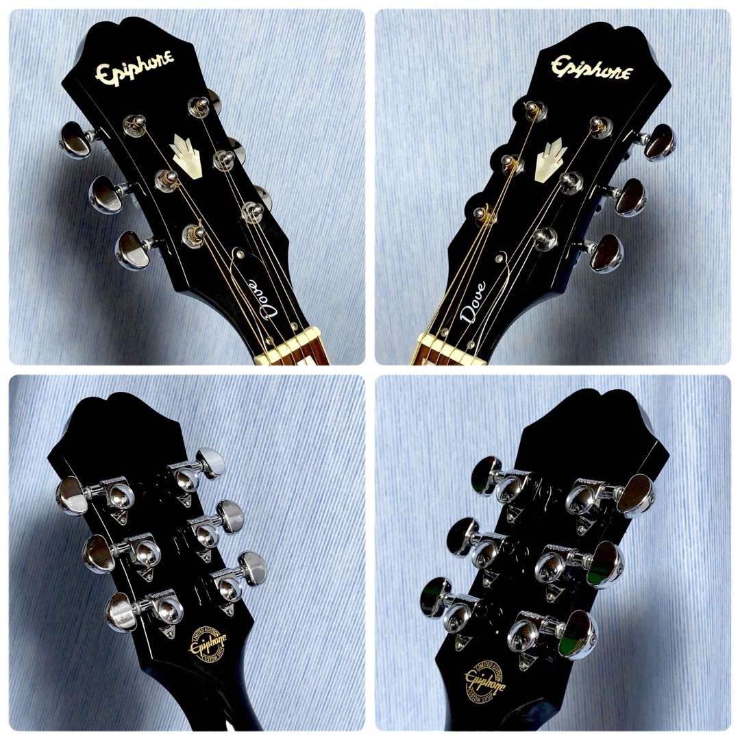 Epiphone - 【希少☆牛骨☆ギブソン直系】Epiphone☆エピフォン☆DOVE