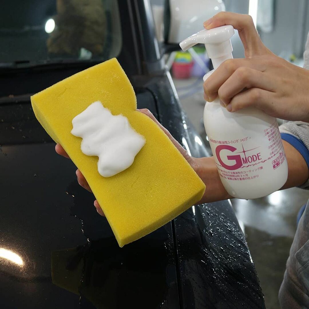 洗車セット カーコーティングセット 手洗い洗車 カーコーティング 洗車グッズ 脱