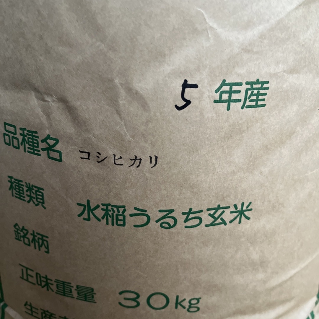 新米 会津コシヒカリ 30kg食品/飲料/酒