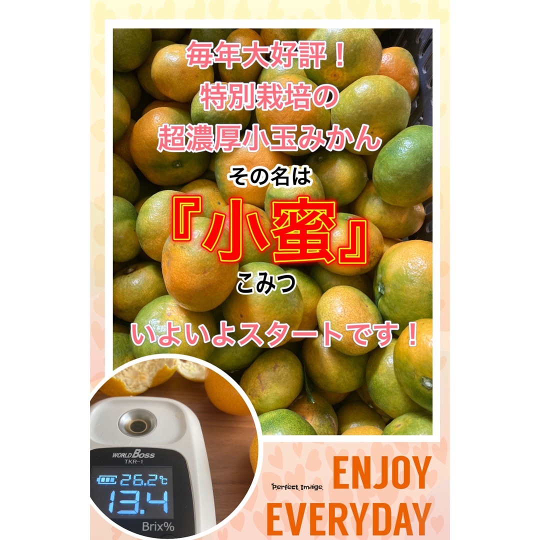 小蜜　超濃厚　あまい　みかん　小玉　愛媛県産 食品/飲料/酒の食品(フルーツ)の商品写真