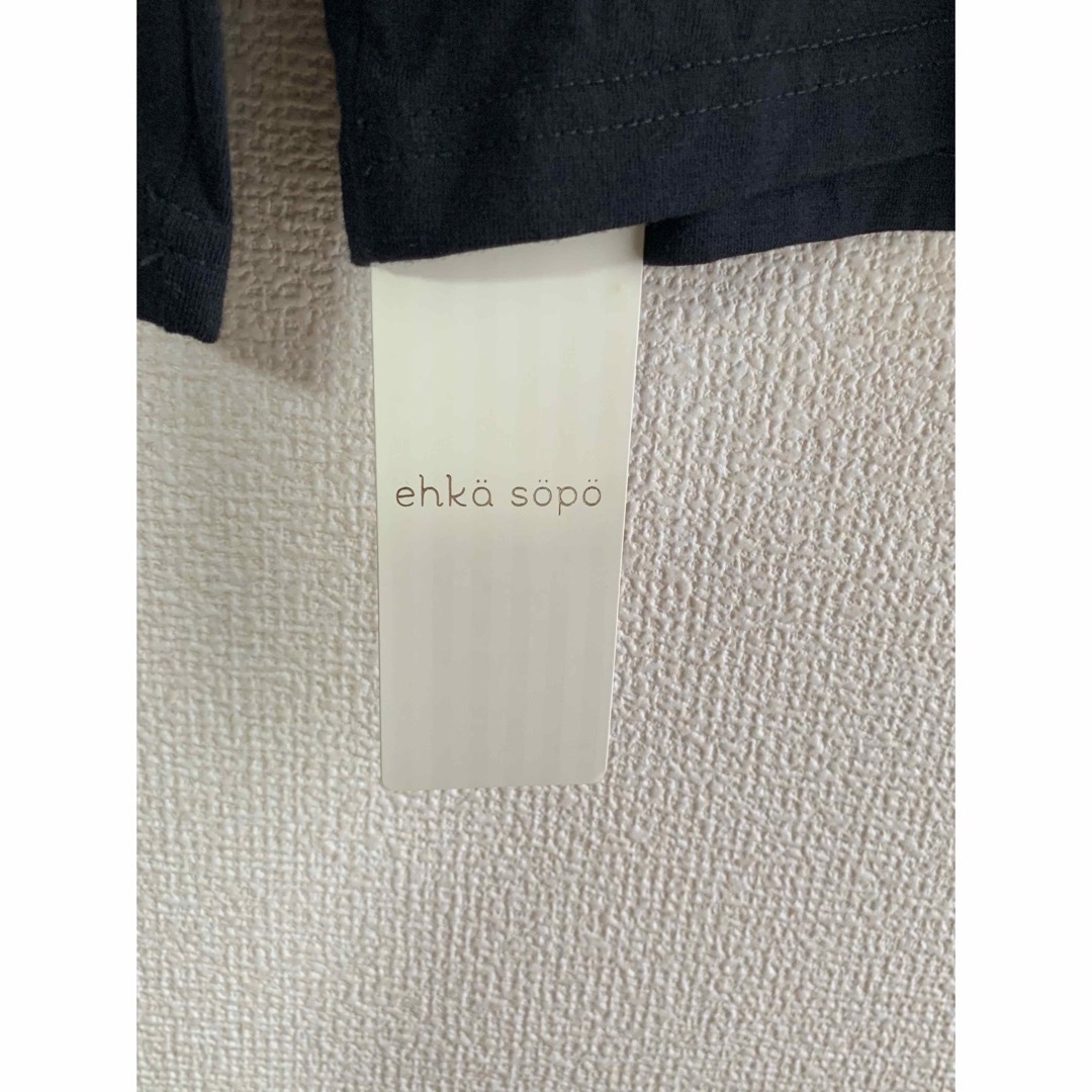 ehka sopo(エヘカソポ)の新品タグ付き ehkasopo レースカットソー レディースのトップス(カットソー(長袖/七分))の商品写真