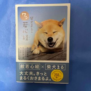 柴犬まるのワン若心経(その他)