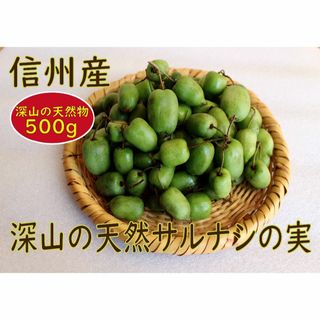 【サルナシ】【コクワ】【信州産】貴重な深山の天然果実「珍果」　500g(フルーツ)