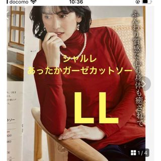 シャルレカットソーLL