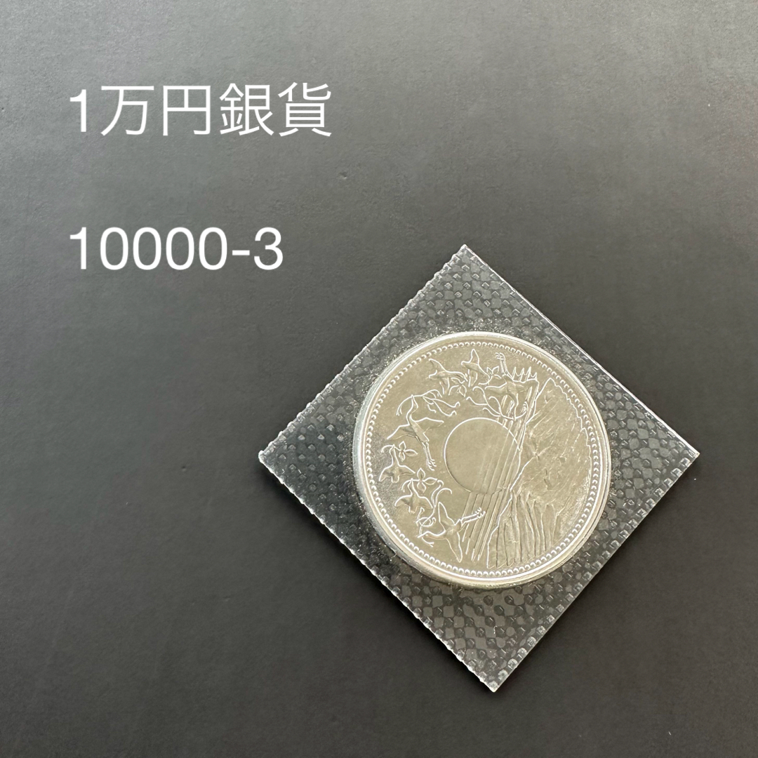 10000円銀貨　記念硬貨　1万円銀貨