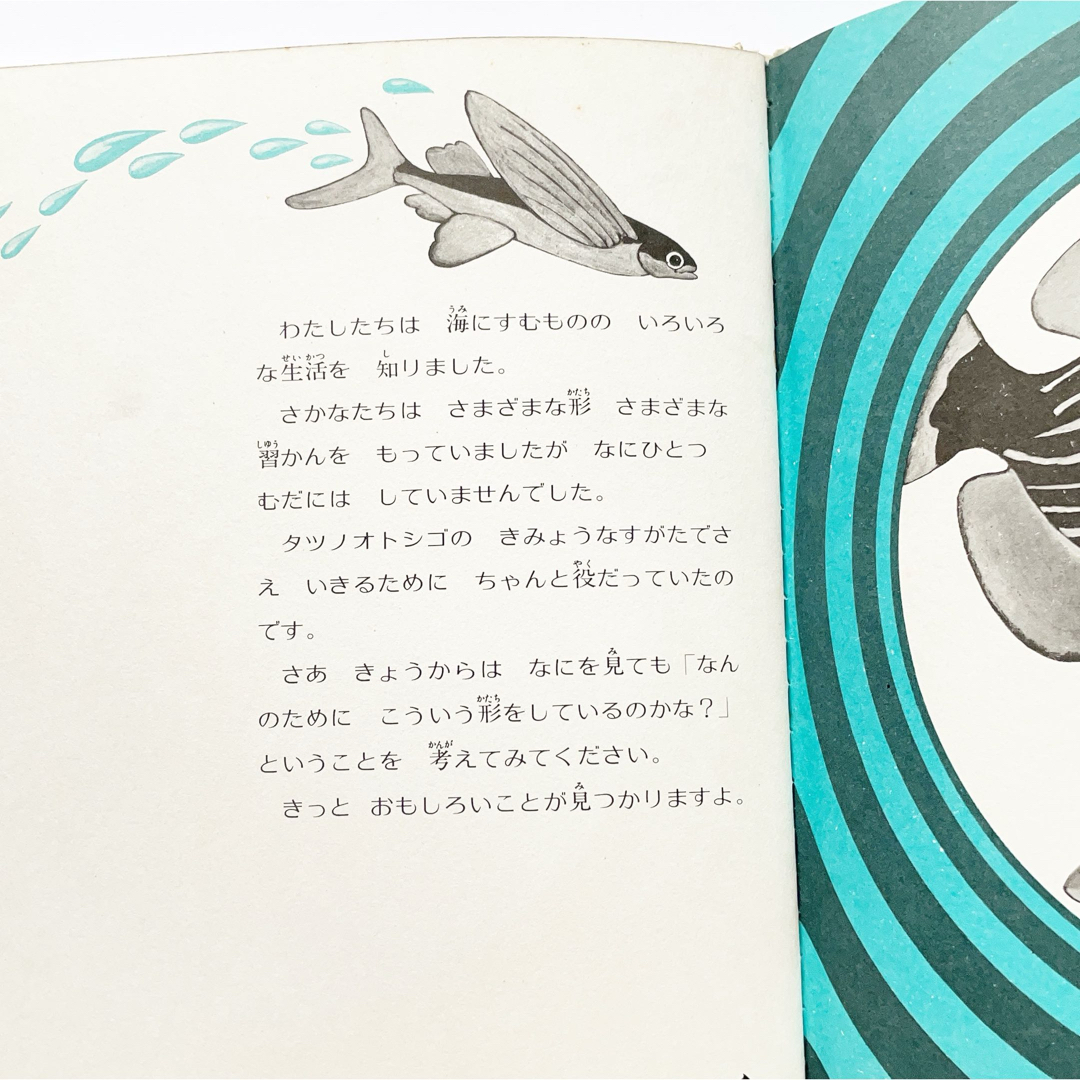 海の馬タツノオトシゴ 絵本 児童書 タツノオトシゴ たつのおとしご 海