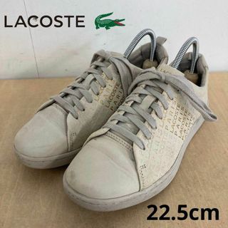 ラコステ(LACOSTE)のLACOSTE CARNABY EVO 22.5cm(スニーカー)