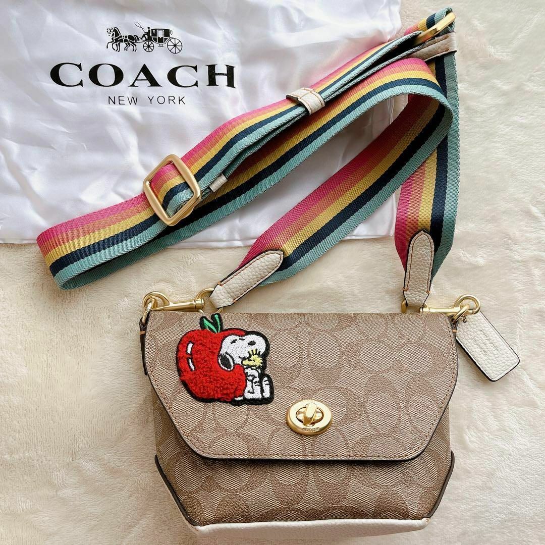 COACH　カバン　カバンを入れる袋付き