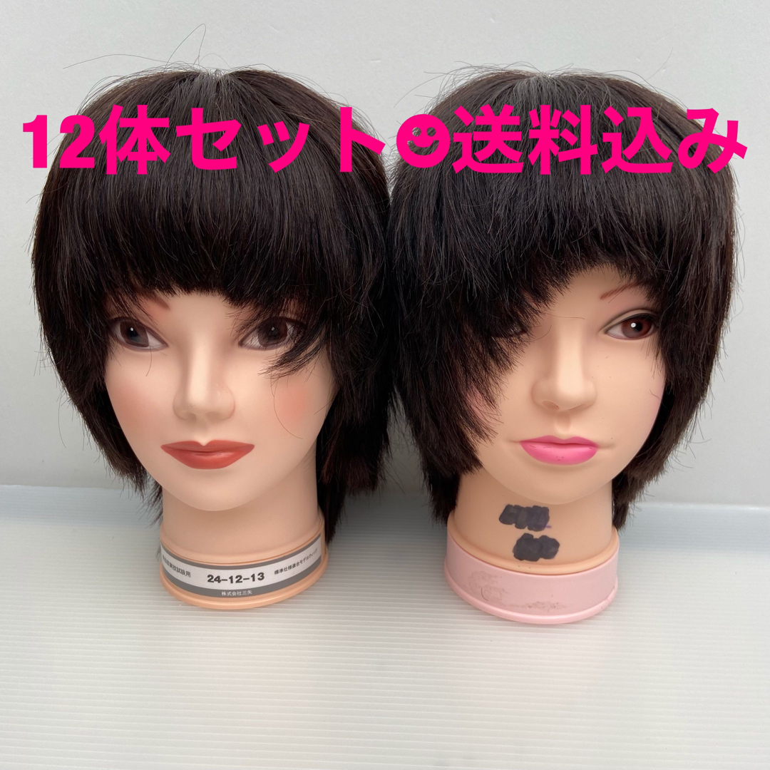 美容師国家試験カットウィッグ 13体 寄りかかれ 美容師国家試験カットウィッグ 13体 寄りかかれ