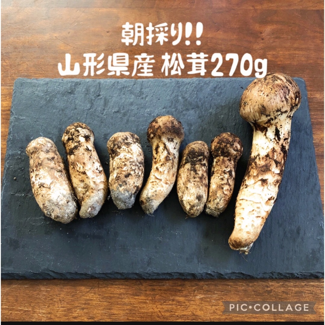 今年も採れました!⭐︎貴重・朝採り⭐︎ 山形県産松茸 270g 直営店