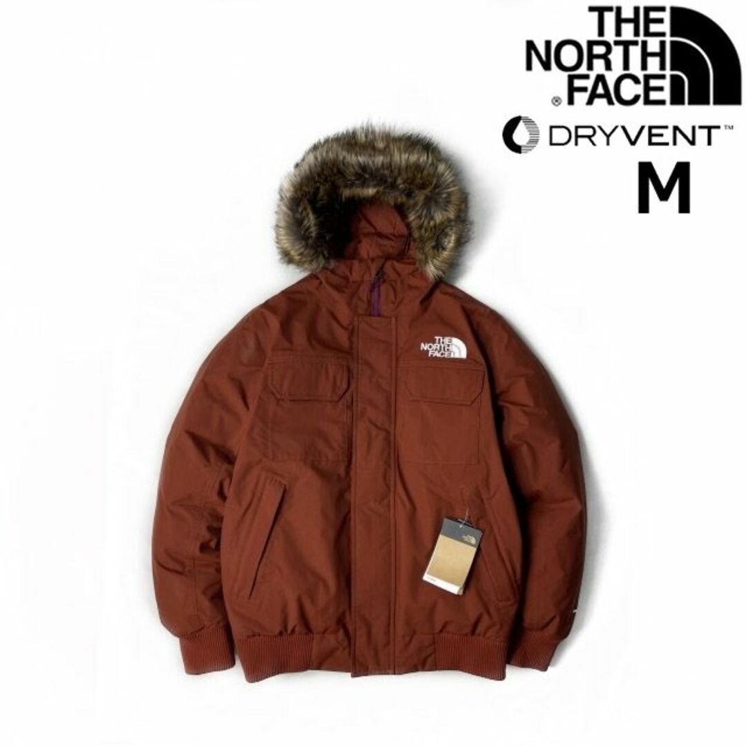 THE NORTH FACE - ノースフェイス マクマードボンバー ダウン US限定(M ...