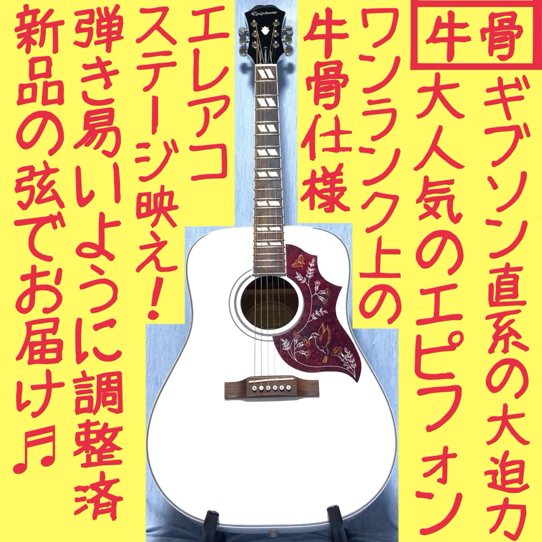 Epiphone - 【希少☆牛骨☆エレアコ】Epiphone☆ハミングバード☆限定 ...