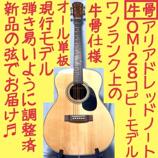 【オール単板★牛骨】ARIA☆アリア！AF-505【弾き易く調整☆新品の弦】(アコースティックギター)