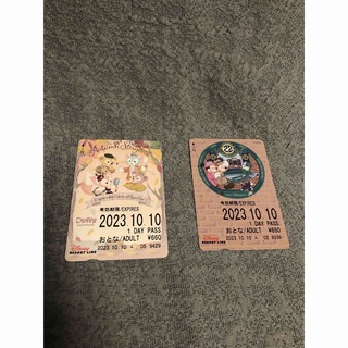 ディズニー(Disney)のフリー切符　ディズニーシー　22周年　ダッフィー(キャラクターグッズ)